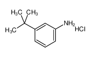 3-叔丁基苯胺 盐酸盐