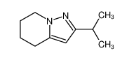 95542-55-5 2-isopropyl-4,5,6,7-tetrahydropyrazolo<1,5-α>pyridine