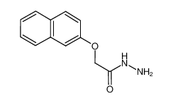 2-naphthalen-2-yloxyacetohydrazide 36304-47-9