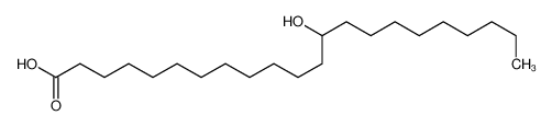 13980-16-0 structure, C22H44O3