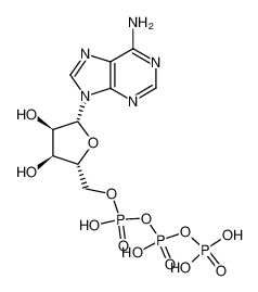 5’-三磷酸腺苷