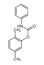 (2,5-dimethylphenyl) N-phenylcarbamate 66018-79-9