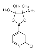 2-氯吡啶-4-硼酸频哪醇酯图片
