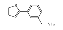 (3-thiophen-2-ylphenyl)methanamine 859850-86-5