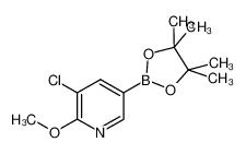 3-氯-2-甲氧基-5-(4,4,5,5-四甲基-[1,3,2] 二噁硼烷-2-基)-吡啶