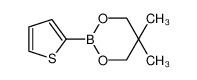 噻吩-2-硼酸新戊二醇酯图片