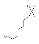 5685-42-7 1,1-dichloro-2-hexylcyclopropane
