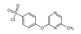 4-[(6-甲基吡嗪-2-基)氧基]苯磺酰氯