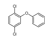 1,4-dichloro-2-phenoxybenzene 24910-69-8