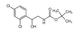 tert-butyl N-[2-(2,4-dichlorophenyl)-2-hydroxyethyl]carbamate 939757-30-9