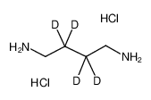 2,2,3,3-tetradeuteriobutane-1,4-diamine,dihydrochloride 88972-24-1