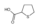 thiolane-2-carboxylic acid 19418-11-2