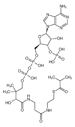 isobutyryl-CoA 15621-60-0