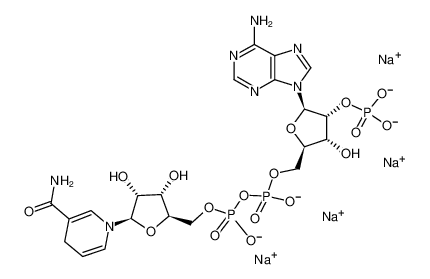 β-烟酰胺腺嘌呤二核苷酸 2′-磷酸 四钠盐 水合物