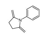 2,5-dimethylene-1-phenylpyrrolidine 96326-29-3