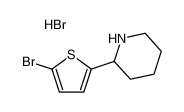 2-(5-溴-噻吩-2-基)哌啶氢溴酸盐