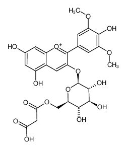762204-98-8 structure