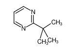 Pyrimidine, 2-(1,1-dimethylethyl)- (9CI) 61319-99-1