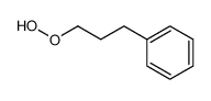 3-phenylpropyl hydroperoxide 60956-33-4