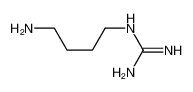 306-60-5 (4-氨基丁基)胍