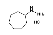 1-环庚基肼盐酸盐