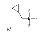 potassium cyclopropylmethyl(trifluoro)boranuide