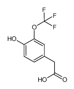 1042703-39-8 2-(4-hydroxy-3-(trifluoromethoxy)phenyl)acetic acid