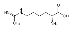 N-(5-AMINO-5-CARBOXYPENTYL)-ACETAMIDINE 53774-63-3