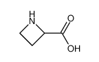 L-吖啶-2-羧酸