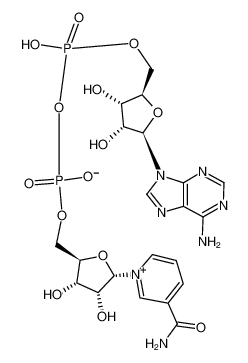 α-DIPHOSPHOPYRIDINE NUCLEOTIDE 7298-93-3
