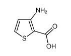 3-氨基-2-噻吩甲酸