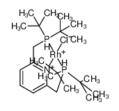 410522-29-1(2,6-bis(di-tert-butylphosphinomethyl)pyridine)r