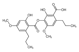 607-11-4 structure