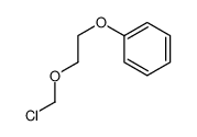 2-(chloromethoxy)ethoxybenzene 102331-29-3