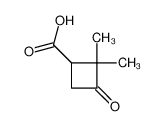 2,2-dimethyl-3-oxocyclobutane-1-carboxylic acid 3183-43-5