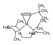 745020-40-0 structure, C19H44NNiP2