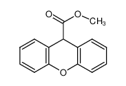 占吨-9-甲酸甲酯