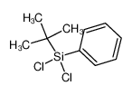 tert-butyl-dichloro-phenylsilane 17887-41-1