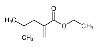 ethyl 4-methyl-2-methylenepentanoate 87438-94-6