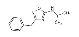 1041005-71-3 3-benzyl-N-isopropyl-1,2,4-oxadiazol-5-amine