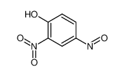 2,4-dinitrosophenol 19077-69-1