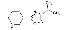 3-(3-异丙基-1,2,4-二唑-5-基)哌啶