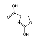 (4S)-2-oxo-1,3-oxazolidine-4-carboxylic acid 19525-95-2