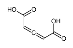 penta-2,3-dienedioic acid 32804-68-5
