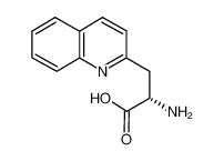 (S)-2-AMINO-3-QUINOLIN-2-YL-PROPIONIC ACID 161513-46-8