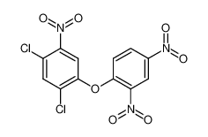 (2,4-dichloro-5-nitro-phenyl)-(2,4-dinitro-phenyl)-ether 859775-56-7