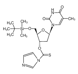 1-[5-O-(tert-butyldimethylsilyl)-2-deoxy-3-O-[(1-imidazolyl)thiocarbonyl]-β-D-erythro-pentofuranosyl]thymine 128119-38-0