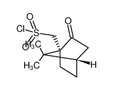 D(+)-10-Camphorsulfonyl chloride 21286-54-4