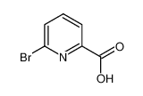 6-Bromopicolinic Acid 99%