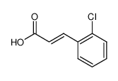 trans-2-chlorocinnamic acid 704-96-1
